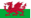 welsh language